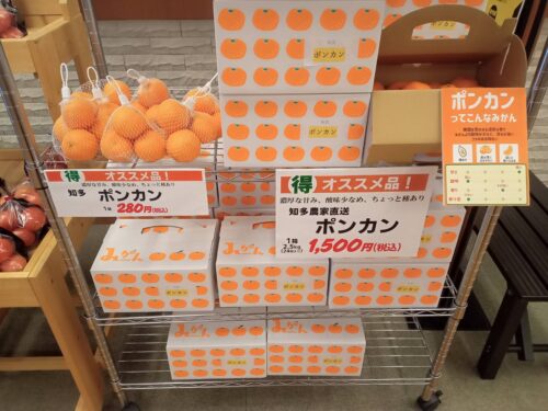 産地直送ポンカンが入荷しました！